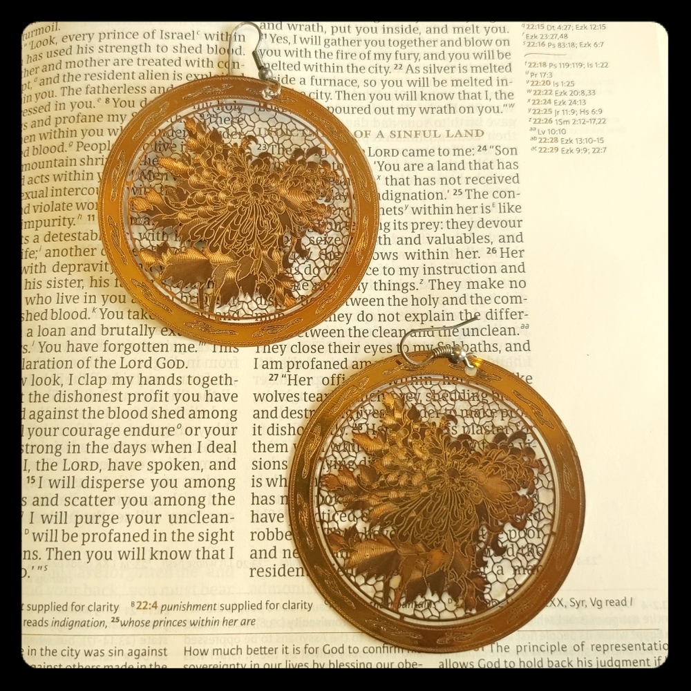 Light weight earrings